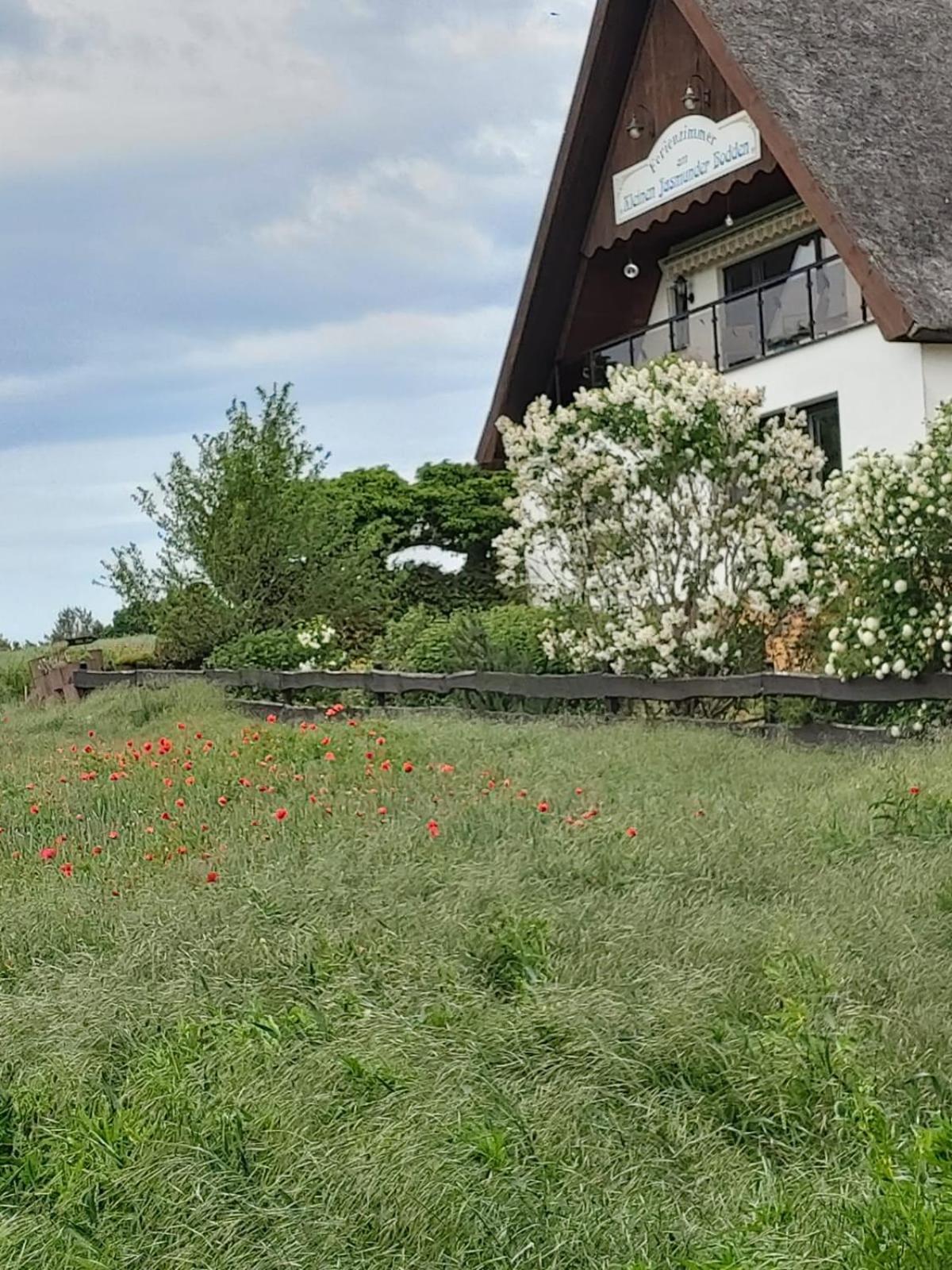 Pension Petersen Bergen Auf Rugen Pokój zdjęcie